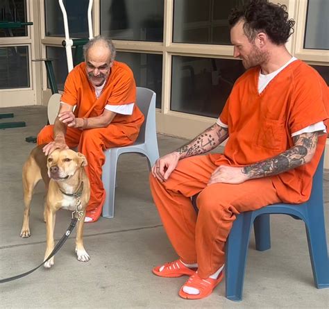 san luis obispo county arrest log 8