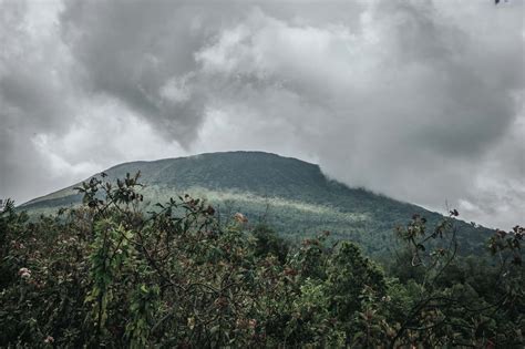 Nyiragongo Volcano Trek: The Most Dangerous Hike In The World | Drink ...