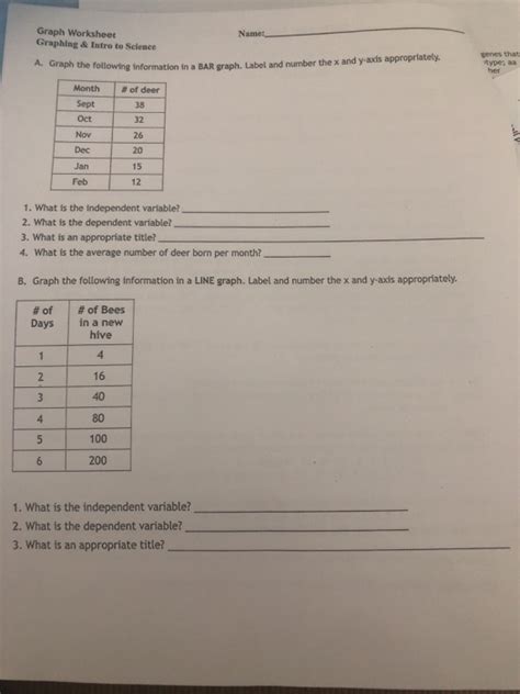 Solved Graph Worksheet Graphing Intro To Science Name Chegg