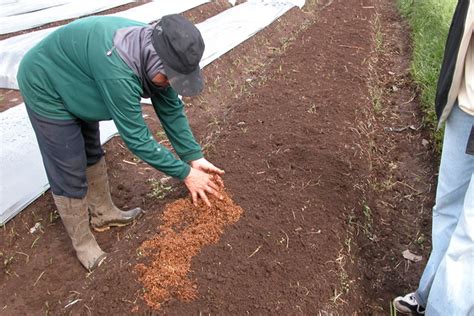 Mentan Ajak Petani Untuk Lebih Banyak Gunakan Pupuk Organik Fakultas