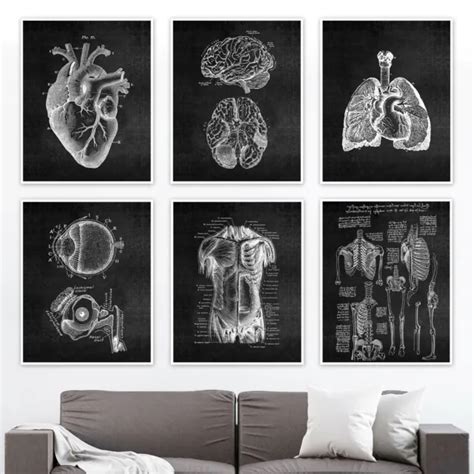 Vintage Retro Eye Anatomy School Wall Chart Lithograph Poster