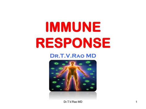 Ppt Immune Response Powerpoint Presentation Free Download Id202962