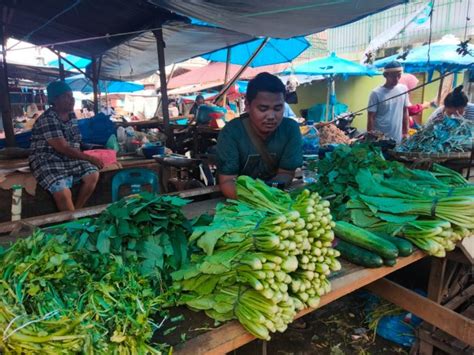 Harga Sayuran Di Asahan Naik 100 Persen Ini Kata Dinas Pertanian