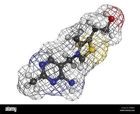 Vitamin B Thiamine Molecular Model Atoms Are Represented As