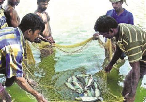 Promotion Of Inland Fisheries In A N Islands Fisheries Deptt Extends