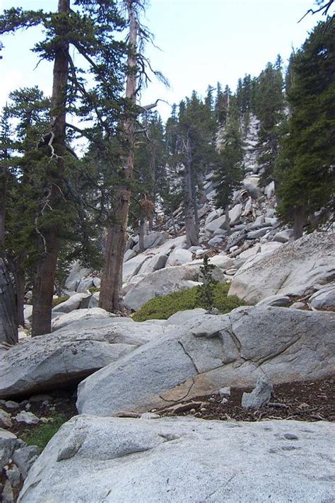 San Jacinto Peak from Humber Park via Devil's Slide Trail - Idealist Cafe