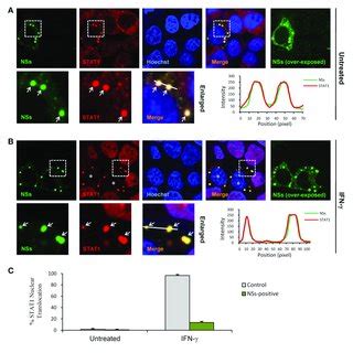 Replication Of SFTSV In Human Monocytes Without Causing Apoptosis A