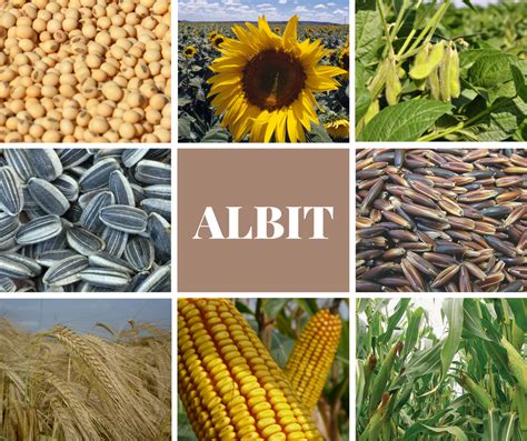 Albit - Agromag