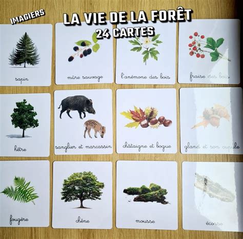 Imagiers La Vie De La For T Cartes De Nomenclature Beebs