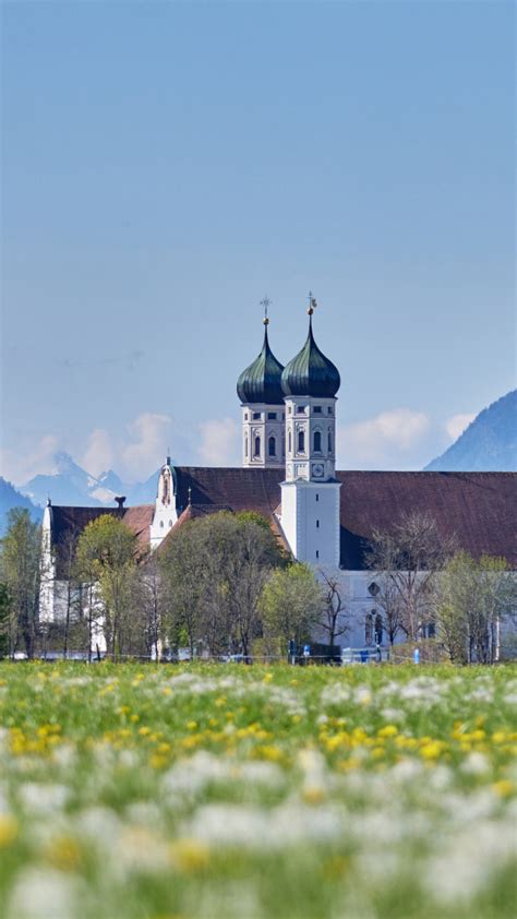 Bildung - ZUK