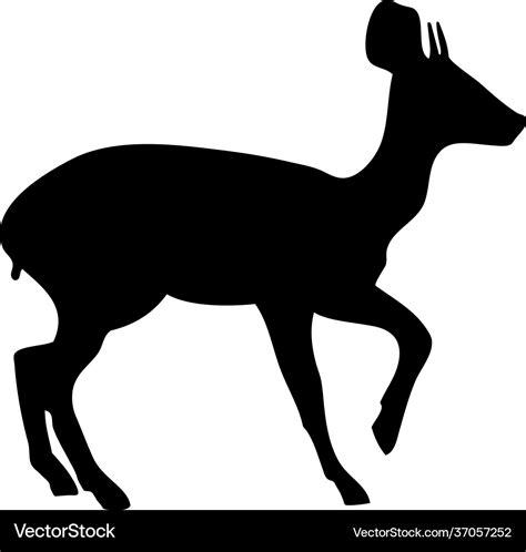 Oribi antelope silhouette Royalty Free Vector Image