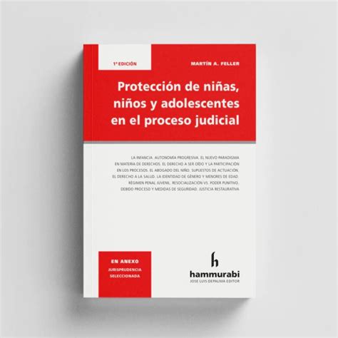 Protecci N De Ni Os As Y Adolescentes En Proceso Judicial Ediciones Dyd