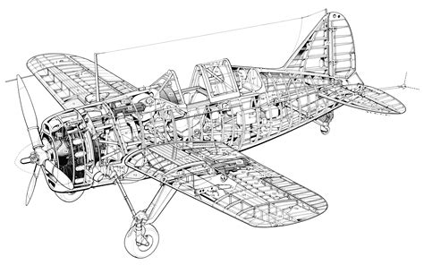 Brewster F2A Buffalo Cutaway Drawing in High quality