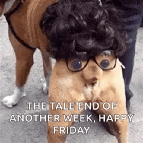 Friday Eve Meme Gif