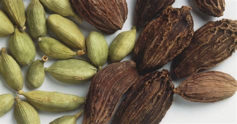 Кардамон - фото, рецепты, полезные свойства и противопоказания