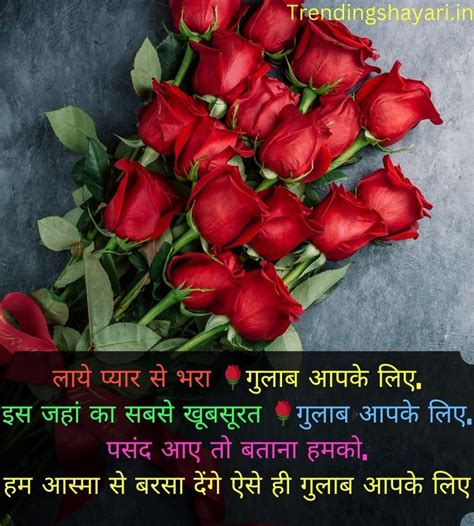 प्रेमी जोड़ों के लिए Best Rose Day Wishes रोज डे शायरी 2024