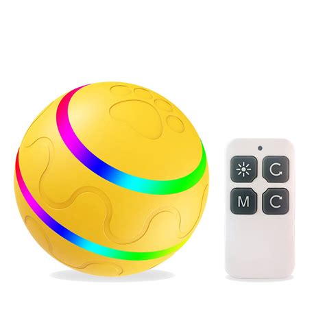 Interactive Dog Toy Ball with Remote Control and LED Flash Light ...