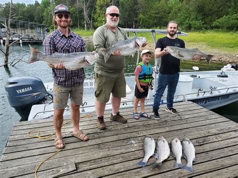 Beaver Lake Striped Bass Fishing Report Guided Striper