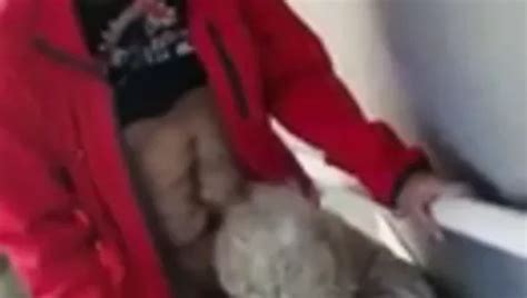 NEW Granny Bang PLUS Years OLD Sweet PUSSY ASS XHamster