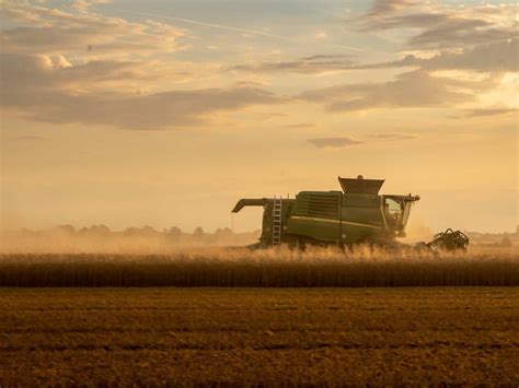 Consórcio agrícola: o que saber antes de contratar e opções