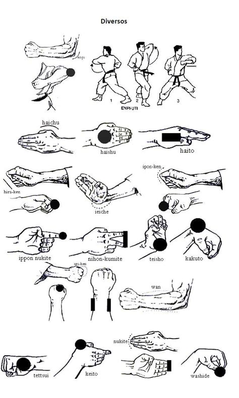Golpes de karate técnicas chutes defesas | Estilos de artes marciais ...