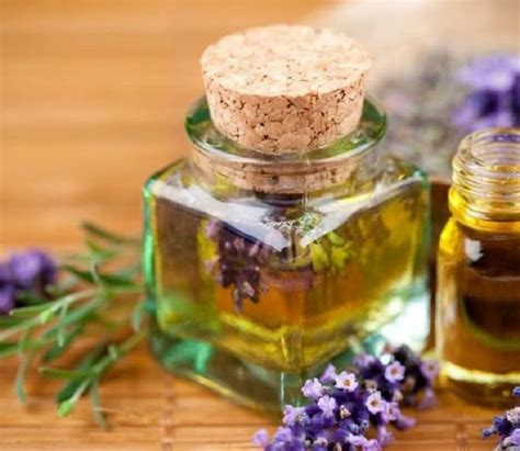 Diy Perfumes 30 Ways To Make Your Own Perfume Without Chemicals