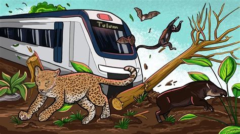 Tren Maya A Tiempo De Replantear El Proyecto Elreporteromx