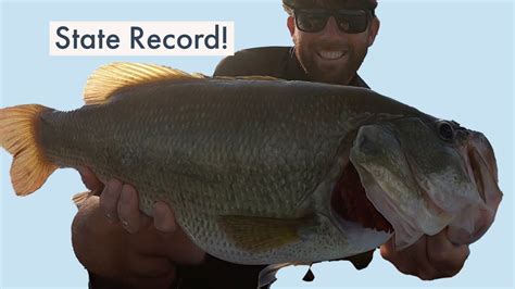 Unofficial Minnesota State Record Largemouth Bass Cast To Catch