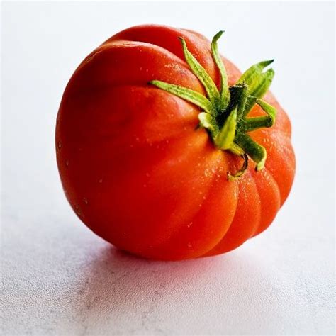 Beefmaster Hybrid Tomato Seeds - Farmington Seed