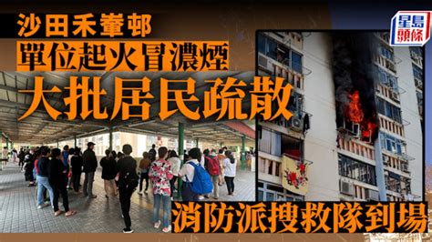 沙田禾輋邨单位起火冒浓烟 大批居民疏散 女住客抱b逃生：「好大烟」 星岛日报