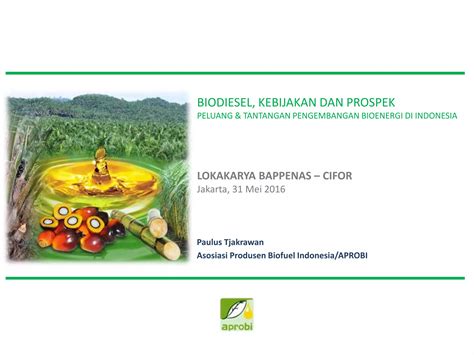 Biodiesel Kebijakan Dan Prospek Peluang And Tantangan Pengembangan