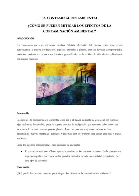 Ensayo La Contaminacion Ciencias Naturales PDF