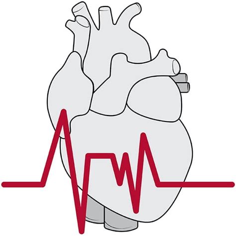 Home Division Of Cardiothoracic Surgery Washington University In St