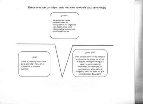 Mi Cuaderno De Biologia Iii Grupo V De Gowin Estructuras Que