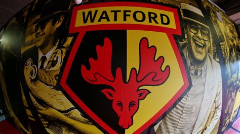 How To Follow: Watford v Southampton - Watford FC