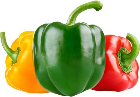 Vegetable Cabbage Png Clipart Bell Pepper Cabbage Capsicum Clipart