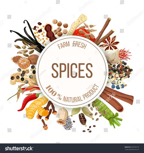 culinary spices big set  emblem stock vector royalty