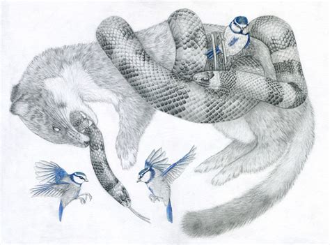 Snake And Blue Tits On Behance