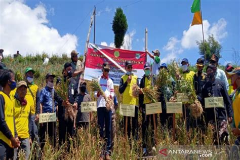 Kementan Targetkan Indonesia Swasembada Bawang Putih Pada Antara