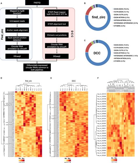 Identification Of Circular RNAs Differentially Expressed In Breast