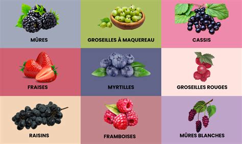 30+ Delicious Fruits in French | Learn Essential Vocabulary