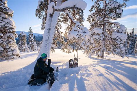 Mit Der Familie Nach Lappland Reisen Fjordkind Reisen