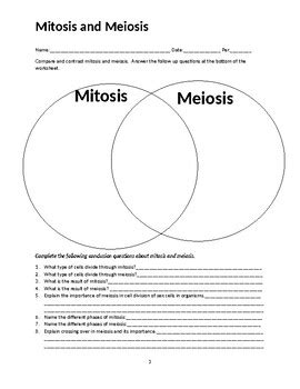 Bioflix Activity Meiosis Comparing Mitosis And Meiosis Hot Sex Picture