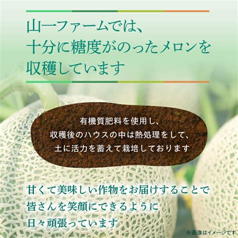 【楽天市場】【ふるさと納税】【定期便】 赤肉青肉食べ比べ！／ メロン 大玉 2ヶ月定期便（4玉）先行予約｜ メロン めろん 定期便 青肉 赤肉 フルーツ 山一ファーム 高級 メロン 金賞 受賞