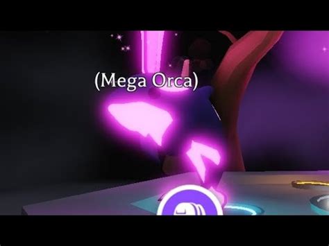 Mega Orca Ultra Rare Fly Ride Tricks Adopt Me Youtube