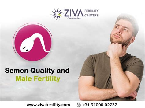 Semen Quality And Male Fertility Ziva Fertility