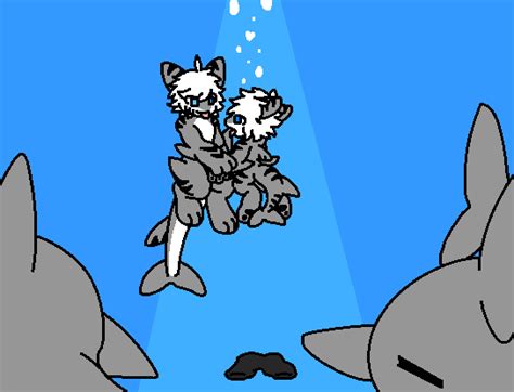 Colin Likes The Tiger Shark More Then Puro Rchangedfurry