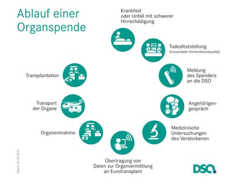 Organspende In Deutschland Und In Den Eu L Ndern