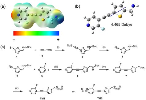 A Electrostatic Potential Esps Map Of Neutral Tm B Illustration