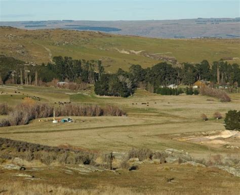 Dcc Deal Saves Foulden Maar From Mining Otago Daily Times Online News